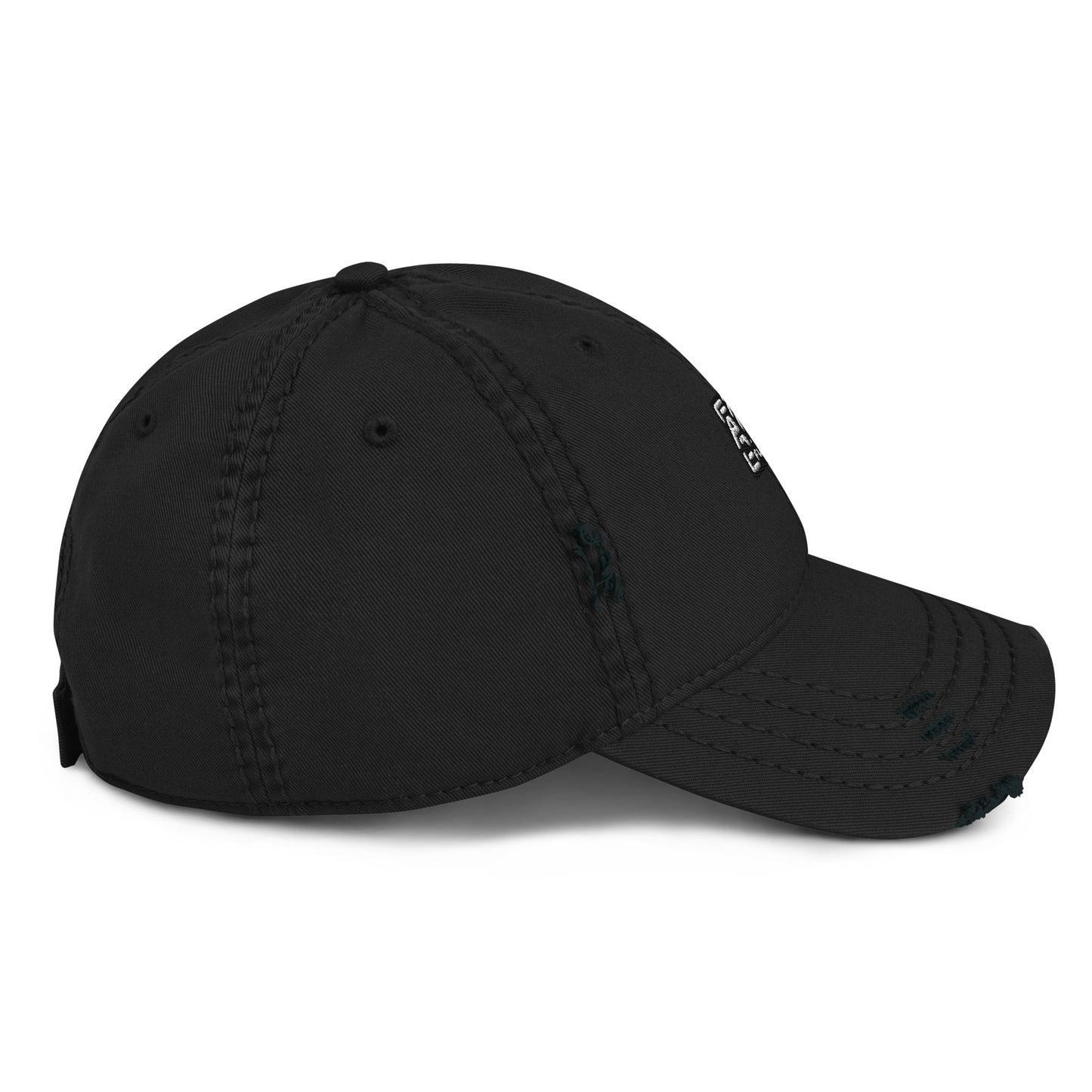 AOI Future official Distressed Dad Hat